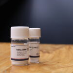 Collagen Type II From Tilapia